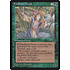 Magic: The Gathering Fyndhorn Druid (90a) Moderately Played