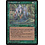 Magic: The Gathering Fyndhorn Druid (Facing Right) (90b) Moderately Played