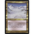Magic: The Gathering Winter's Night (114) Lightly Played
