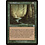 Magic: The Gathering Ana Sanctuary (074) Lightly Played