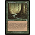 Magic: The Gathering Ana Sanctuary (074) Lightly Played