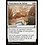 Magic: The Gathering Protection of the Hekma (023) Near Mint