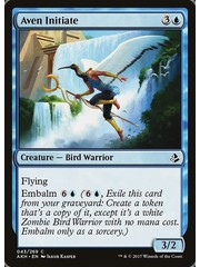 Magic: The Gathering Aven Initiate (043) Lightly Played