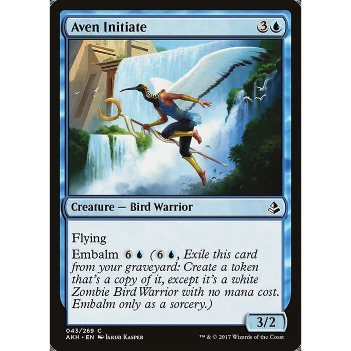 Magic: The Gathering Aven Initiate (043) Lightly Played