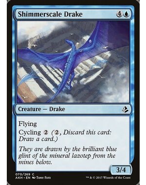 Magic: The Gathering Shimmerscale Drake (070) Lightly Played
