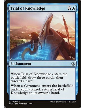 Magic: The Gathering Trial of Knowledge (073) Damaged