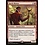 Magic: The Gathering Harsh Mentor (135) Lightly Played Foil