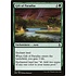 Magic: The Gathering Gift of Paradise (167) Moderately Played
