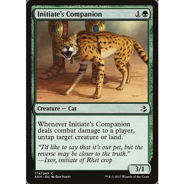 Magic: The Gathering Initiate's Companion (174) Lightly Played