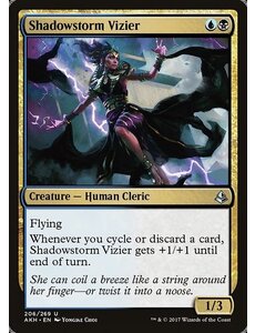 Magic: The Gathering Shadowstorm Vizier (206) Lightly Played
