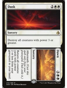 Magic: The Gathering Dusk // Dawn (210) Lightly Played