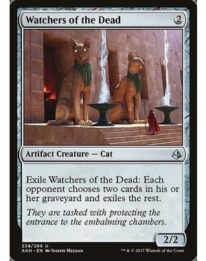 Magic: The Gathering Watchers of the Dead (238) Near Mint
