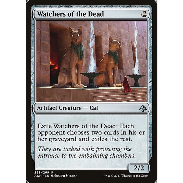 Magic: The Gathering Watchers of the Dead (238) Lightly Played