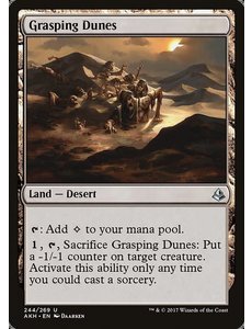 Magic: The Gathering Grasping Dunes (244) Lightly Played