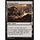 Magic: The Gathering Grasping Dunes (244) Lightly Played