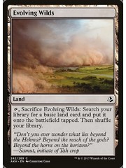 Magic: The Gathering Evolving Wilds (242) Damaged