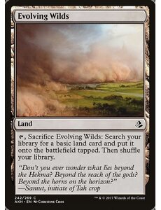 Magic: The Gathering Evolving Wilds (242) Damaged