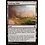 Magic: The Gathering Evolving Wilds (242) Damaged