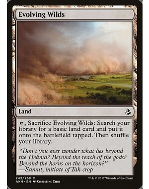 Magic: The Gathering Evolving Wilds (242) Lightly Played Foil