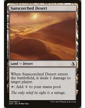 Magic: The Gathering Sunscorched Desert (249) Near Mint