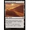 Magic: The Gathering Sunscorched Desert (249) Near Mint