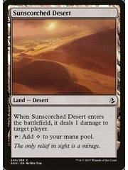 Magic: The Gathering Sunscorched Desert (249) Lightly Played