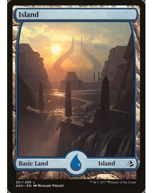 Magic: The Gathering Island (251) Moderately Played