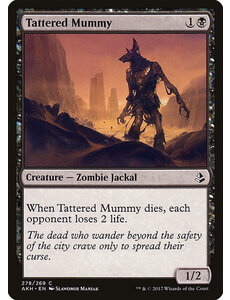 Magic: The Gathering Tattered Mummy (278) Lightly Played
