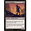 Magic: The Gathering Tattered Mummy (278) Lightly Played