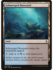 Magic: The Gathering Submerged Boneyard (284) Lightly Played