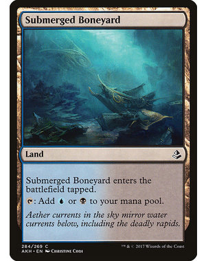 Magic: The Gathering Submerged Boneyard (284) Lightly Played