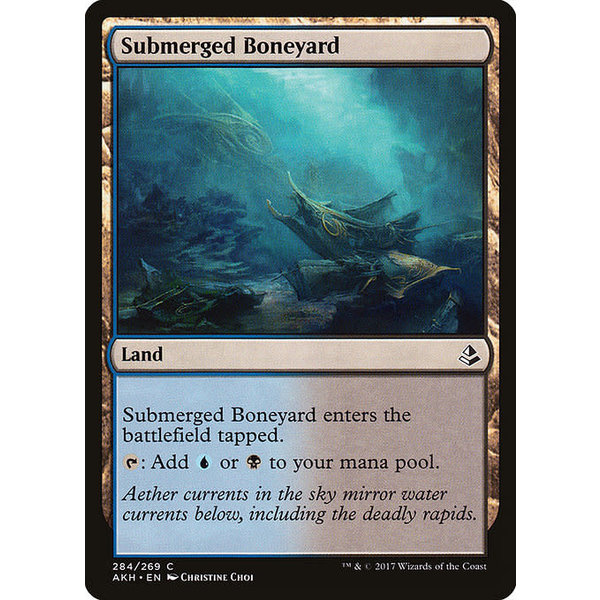 Magic: The Gathering Submerged Boneyard (284) Lightly Played