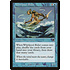 Magic: The Gathering Whirlpool Rider (035) Lightly Played