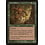 Magic: The Gathering Kavu Mauler (080) Damaged