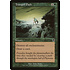 Magic: The Gathering Tranquil Path (089) Lightly Played