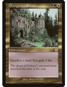 Magic: The Gathering Overgrown Estate (113) Damaged