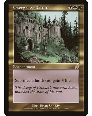 Magic: The Gathering Overgrown Estate (113) Damaged