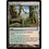 Magic: The Gathering Krosan Verge (128) Moderately Played