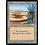 Magic: The Gathering Oasis (078) Heavily Played