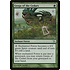 Magic: The Gathering Genju of the Cedars (126) Lightly Played