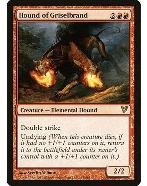 Magic: The Gathering Hound of Griselbrand (141) Heavily Played