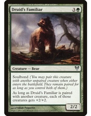 Magic: The Gathering Druid's Familiar (175) Moderately Played