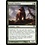 Magic: The Gathering Druid's Familiar (175) Moderately Played