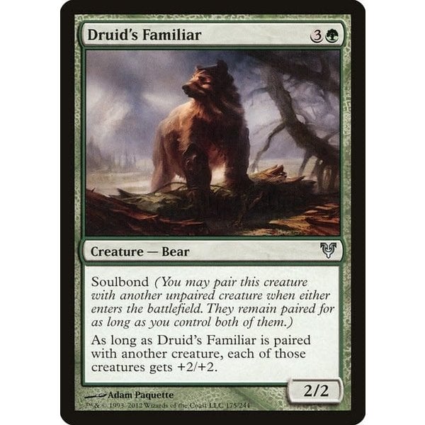 Magic: The Gathering Druid's Familiar (175) Moderately Played