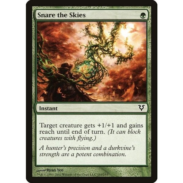 Magic: The Gathering Snare the Skies (193) Heavily Played