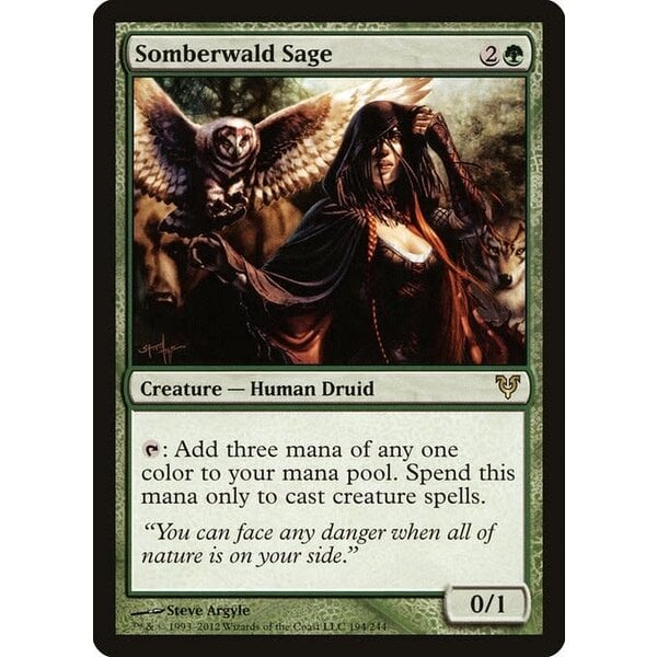 Magic: The Gathering Somberwald Sage (194) Heavily Played - Russian