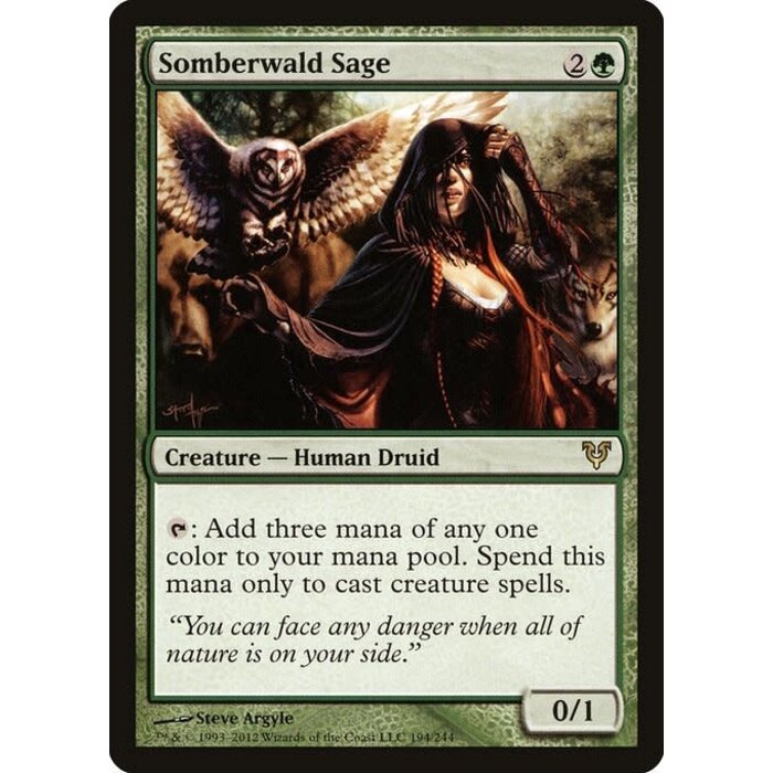 Magic: The Gathering Somberwald Sage (194) Heavily Played - Russian