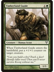 Magic: The Gathering Timberland Guide (197) Heavily Played