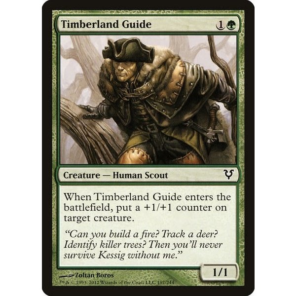 Magic: The Gathering Timberland Guide (197) Heavily Played