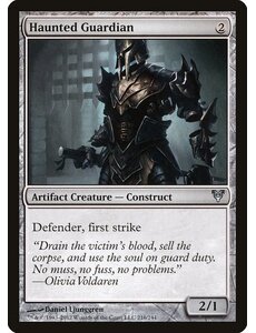Magic: The Gathering Haunted Guardian (216) Heavily Played